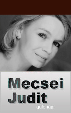 Mecsei Judit galrija